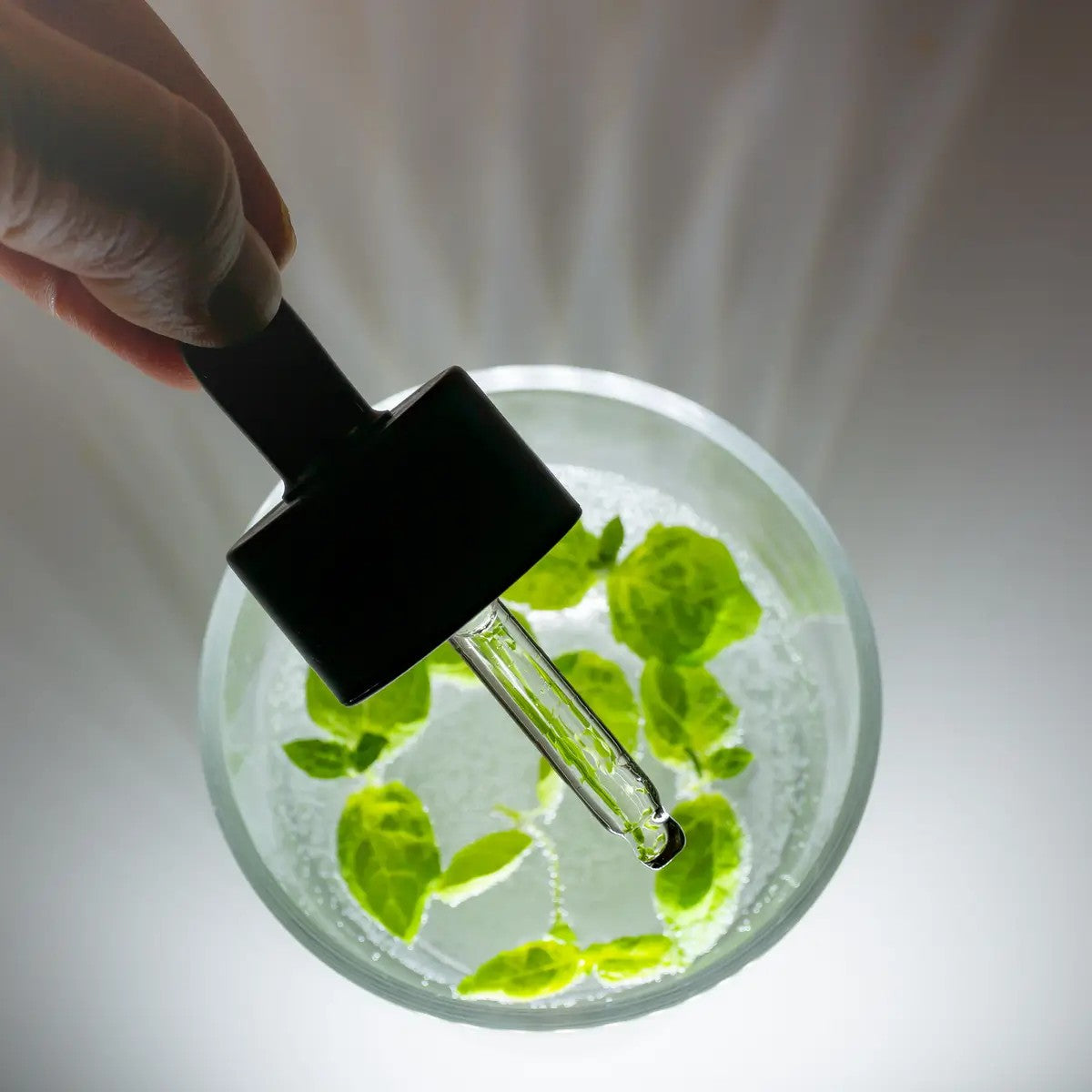 Rainforest Omega Rich Oil Serum, 30ml